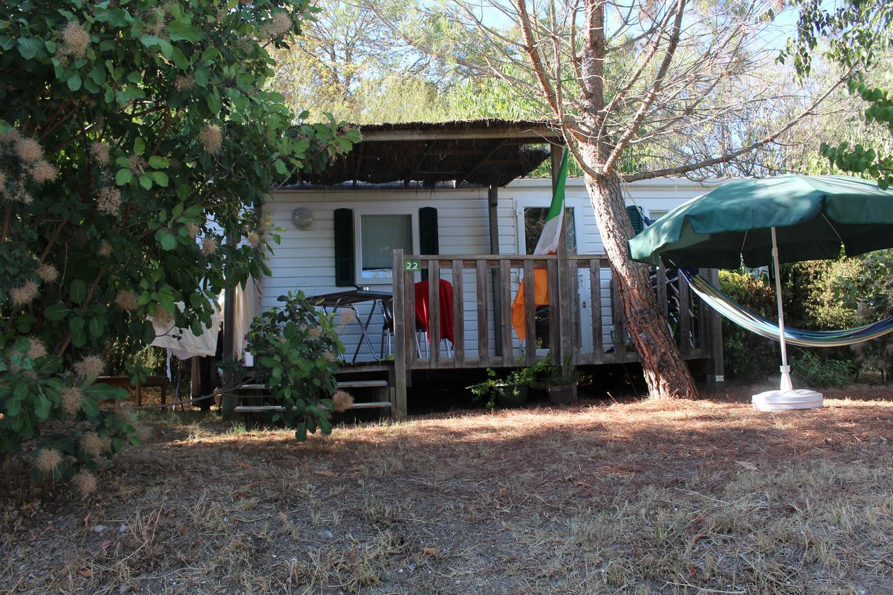 Camping Forcalquier Les Routes De Provence Hotel Bagian luar foto